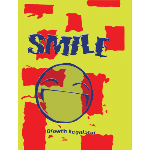 Smile Herbal Incense 3g Smile Herbal Incense 3g